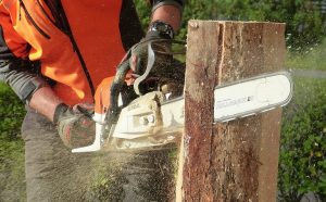 best petrol chainsaw